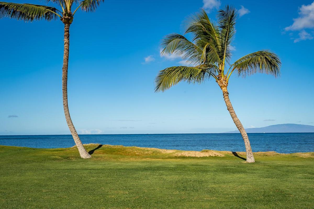Maui Sunset B-115 Leilighet Kihei Eksteriør bilde