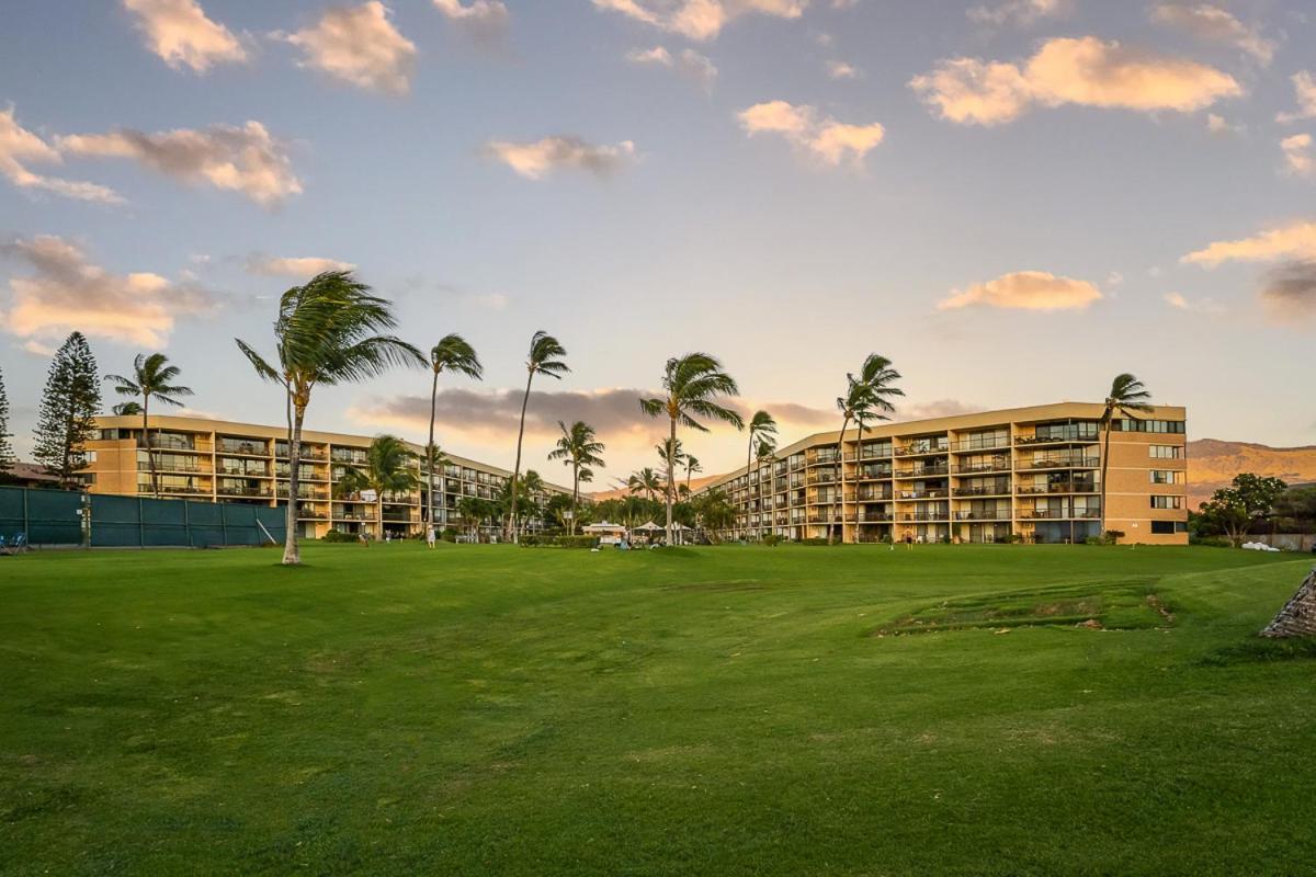 Maui Sunset B-115 Leilighet Kihei Eksteriør bilde